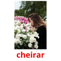 cheirar cartões com imagens