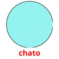 chato picture flashcards