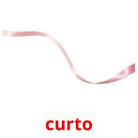 curto picture flashcards