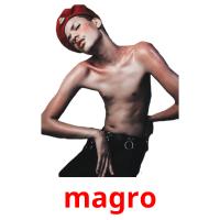 magro picture flashcards