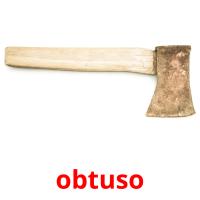 obtuso card for translate