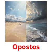 Opostos cartões com imagens