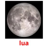 lua карточки энциклопедических знаний