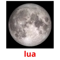 lua picture flashcards