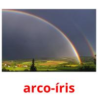 arco-íris flashcards illustrate