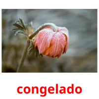 congelado cartões com imagens