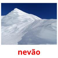 nevão picture flashcards