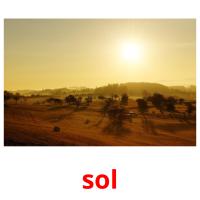 sol picture flashcards
