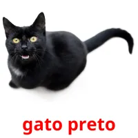 gato preto cartões com imagens