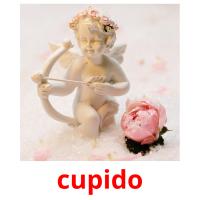 cupido picture flashcards