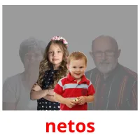 netos cartões com imagens