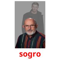 sogro picture flashcards