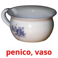 penico, vaso picture flashcards
