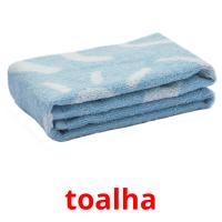 toalha card for translate