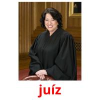 juíz flashcards illustrate