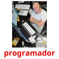programador picture flashcards
