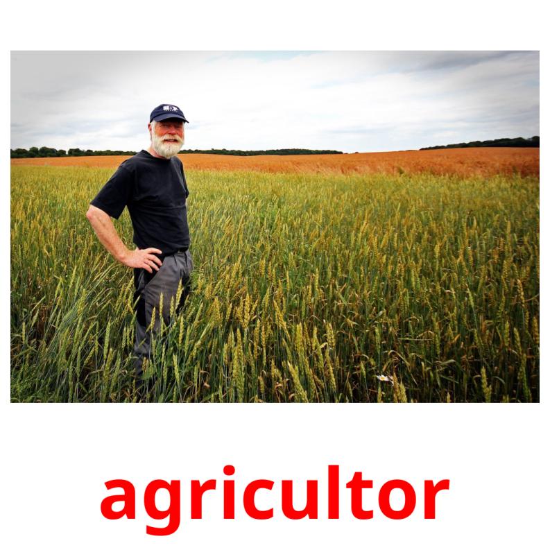 agricultor picture flashcards