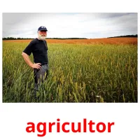 agricultor cartões com imagens