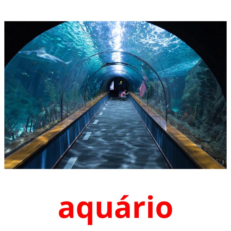 aquário picture flashcards