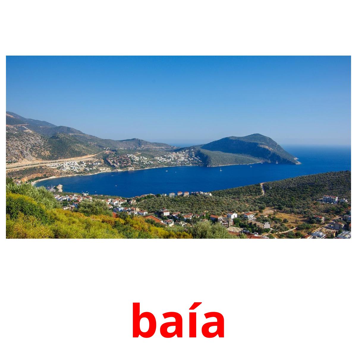 baía Tarjetas didacticas