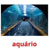 aquário card for translate
