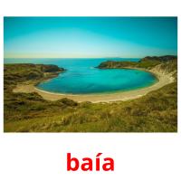 baía card for translate