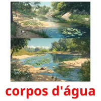 corpos d'água cartes flash