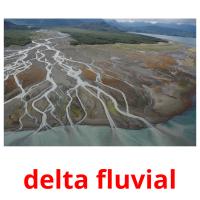 delta fluvial card for translate