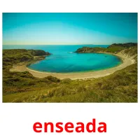 enseada cartes flash