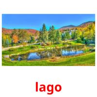 lago card for translate