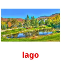 lago cartões com imagens