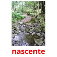 nascente cartes flash
