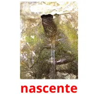 nascente cartões com imagens