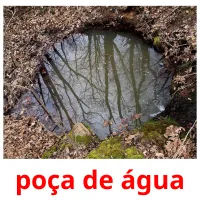 poça de água cartões com imagens