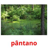 pântano card for translate
