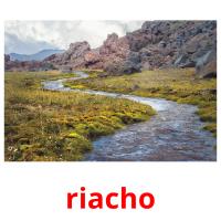 riacho карточки энциклопедических знаний