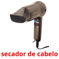 secador de cabelo picture flashcards