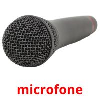 microfone card for translate
