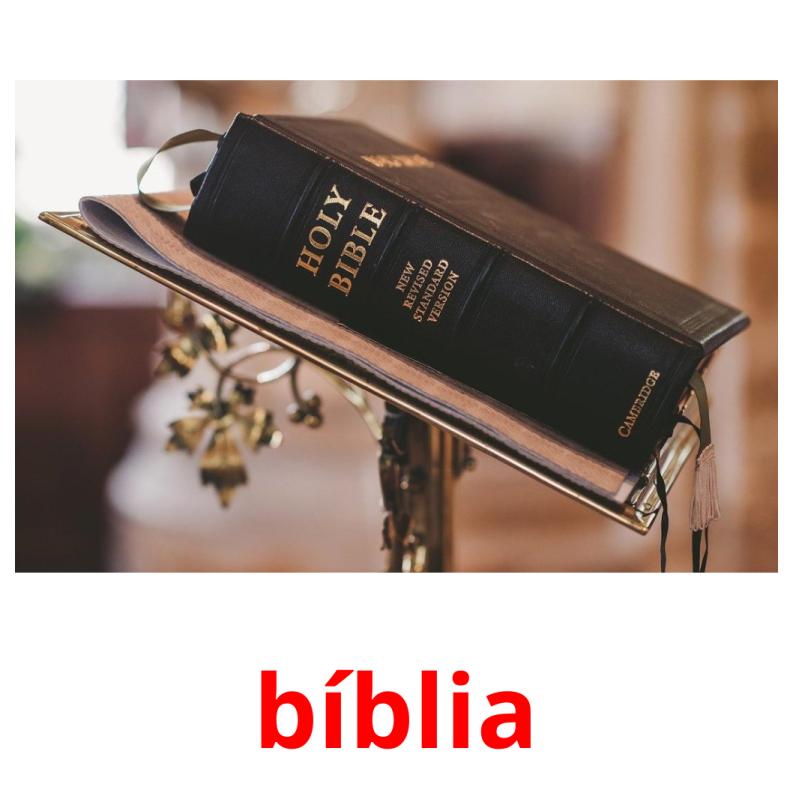 bíblia Tarjetas didacticas