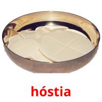 hóstia picture flashcards