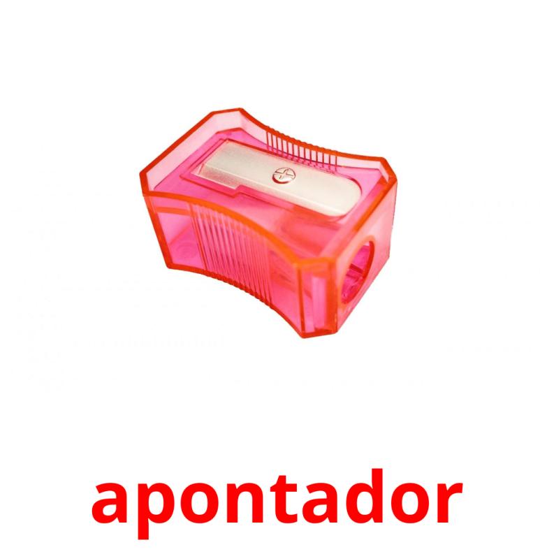 apontador picture flashcards