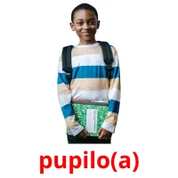 pupilo(a) picture flashcards