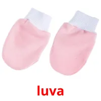 luva picture flashcards