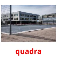 quadra cartões com imagens