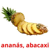ananás, abacaxi flashcards illustrate