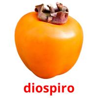 diospiro picture flashcards