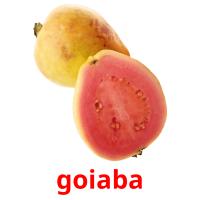 goiaba picture flashcards