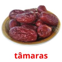 tâmaras card for translate