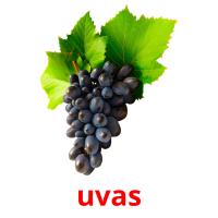 uvas picture flashcards