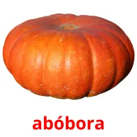 abóbora ansichtkaarten